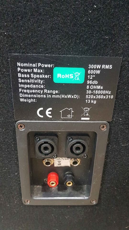 Auna Pw-1222 600w 12" 300W RMS 96db DJ Speakers multiple connection ** COLLECTION ONLY**s
