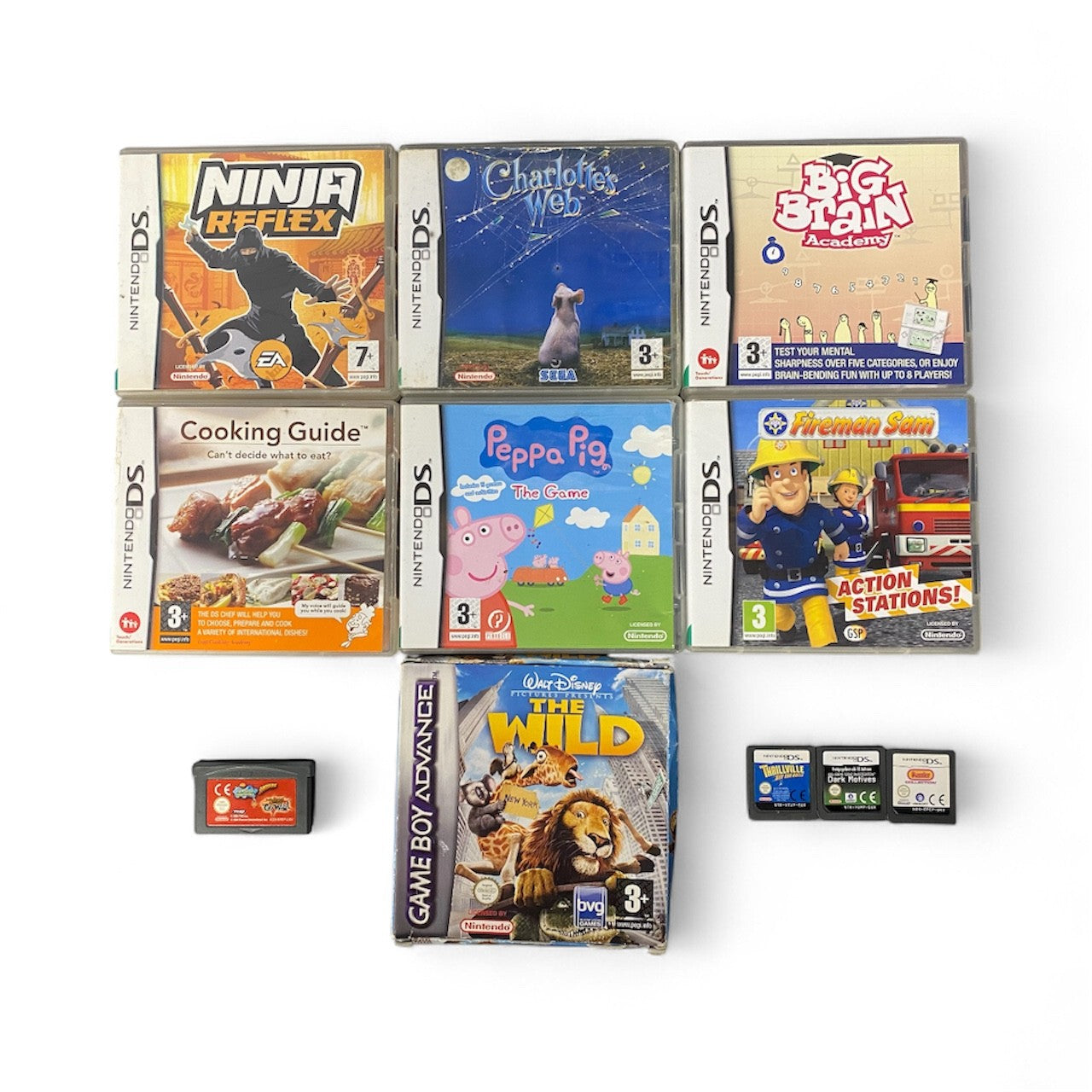 Nintendo DS Lite Bundle