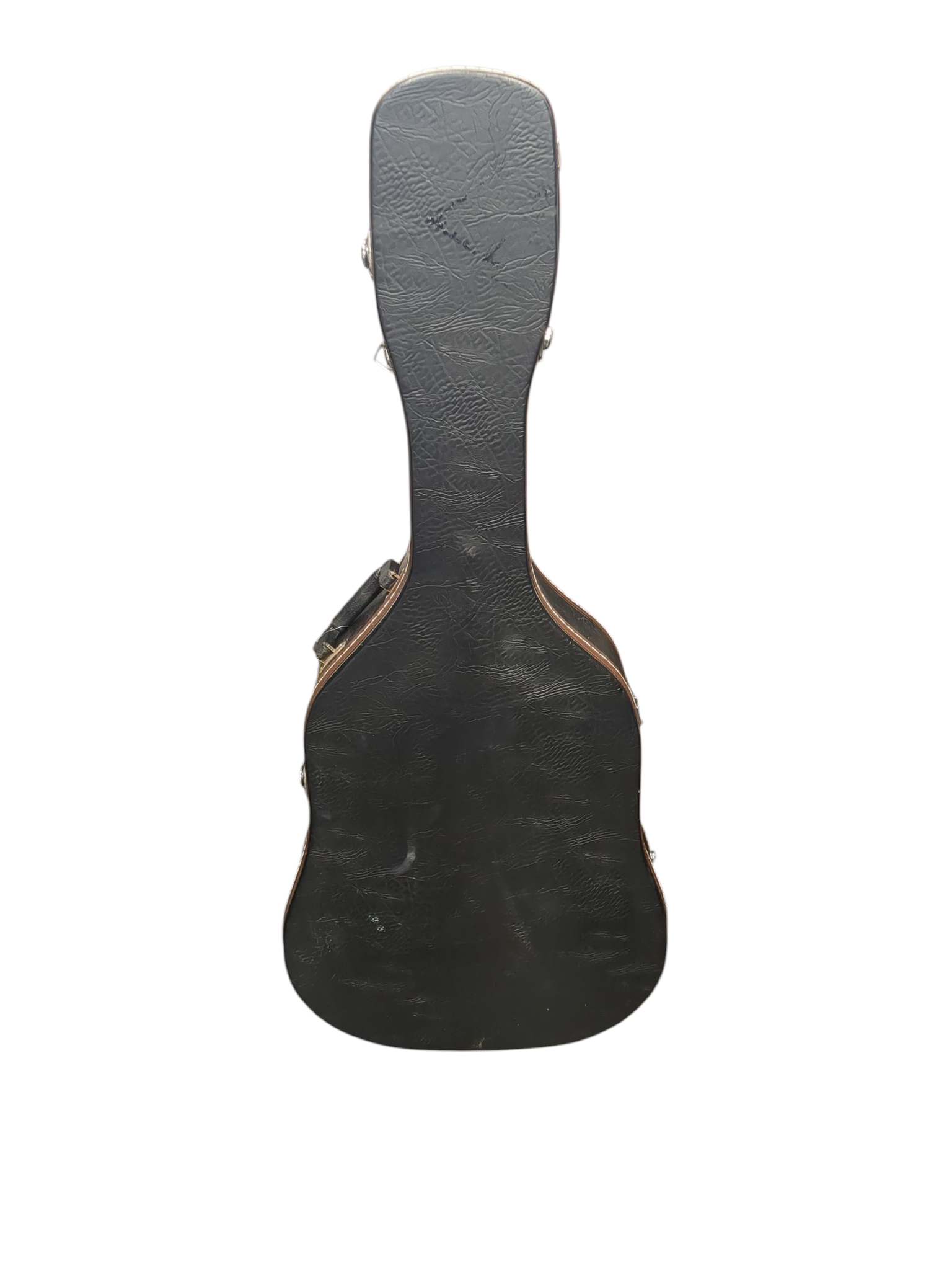 Vintage VMEC2000N Semi Acoustic Guitar with Haard Case