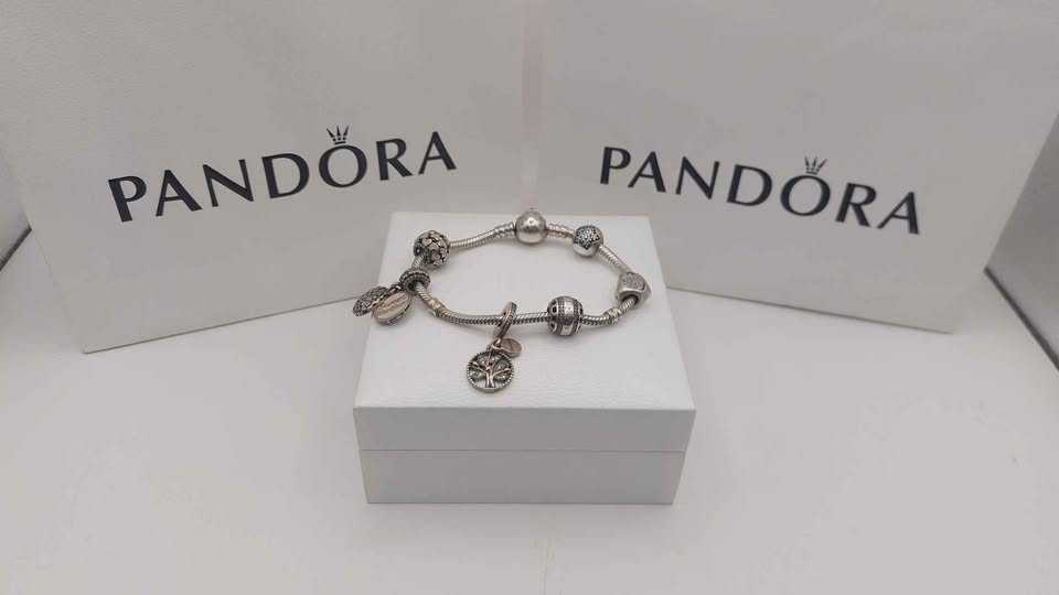 Pandora Bracelet plus 6 Charms 925 boxed