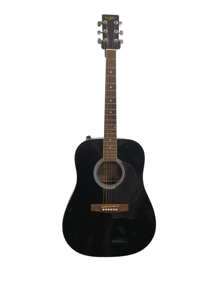 Hohner Countryman Electroc Acoustic Guitar