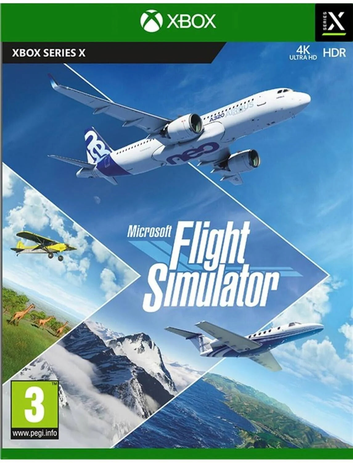 Microsoft Flight Simulator (Xbox Series X)