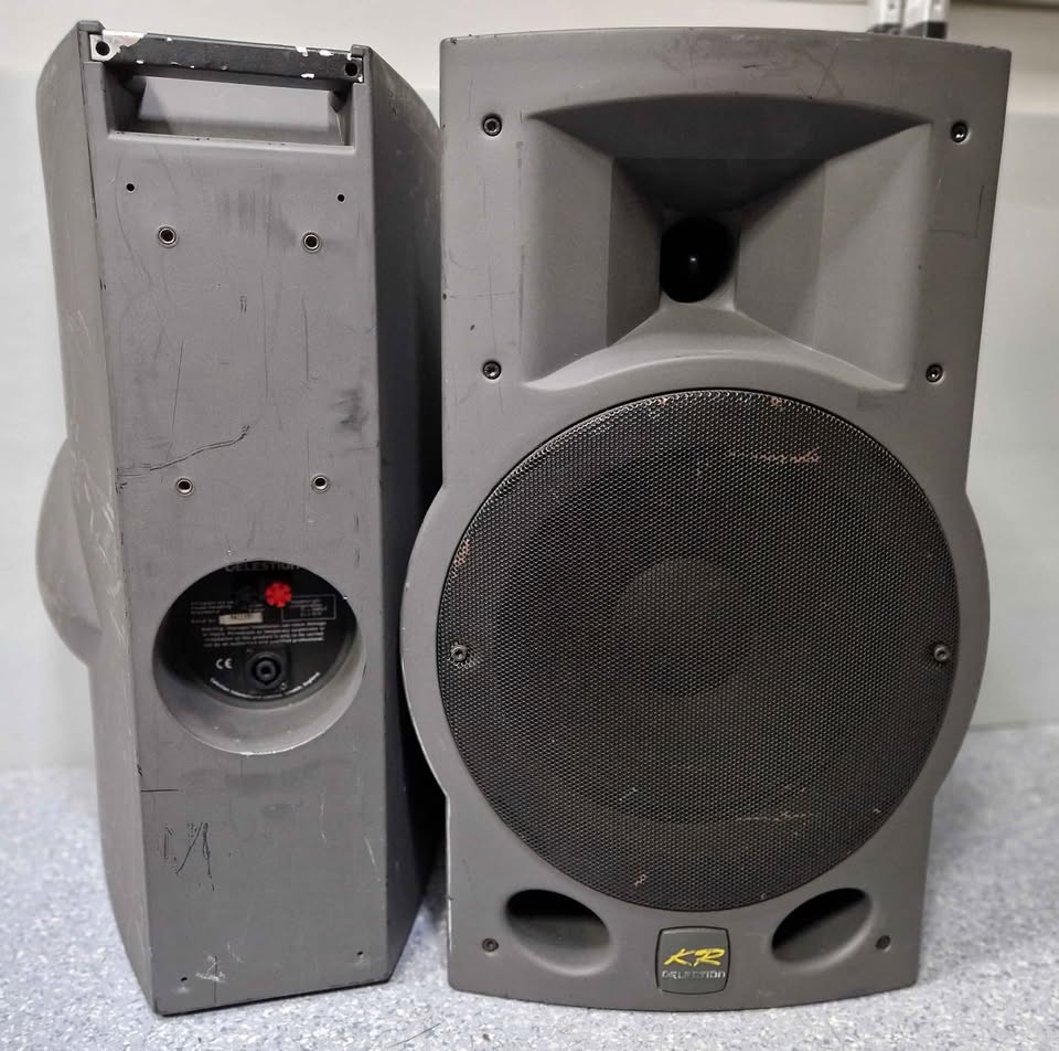 KR 10 C Elestion Speaker pair