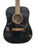Hohner Countryman Electroc Acoustic Guitar
