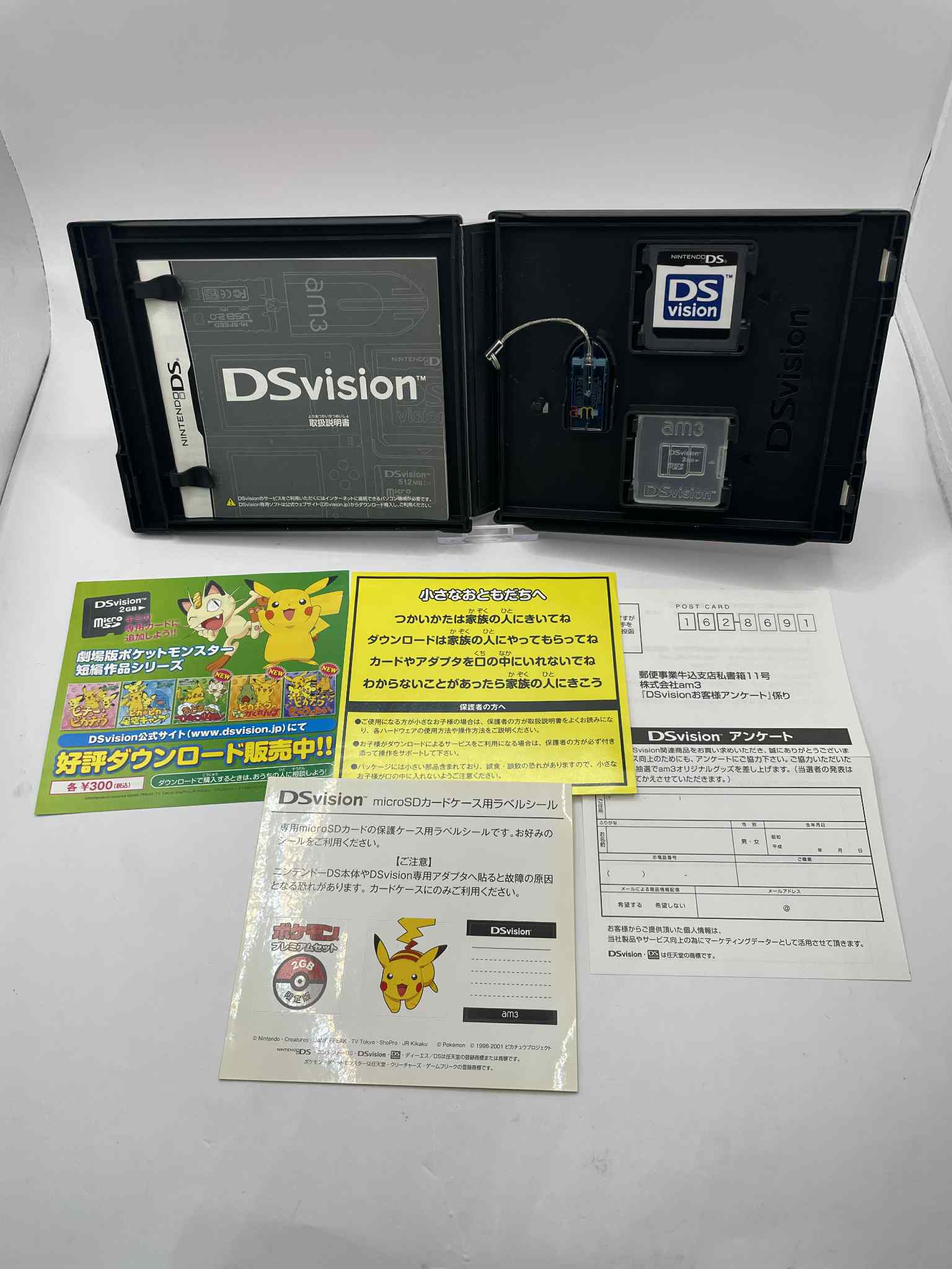 POKEMON DS VISION