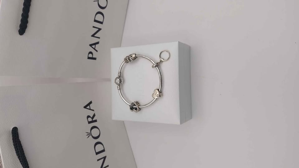 Pandora Bangle plus 3 Charms Boxed 925 **4th hand Charm nor Pandora**