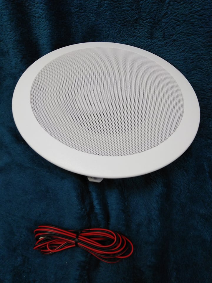 e-audio Ceiling Speaker with Dual Offset Tweeters