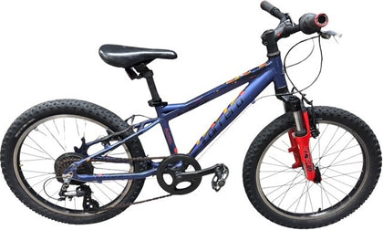 Carrera Blast Junior Mountain Bike - 20