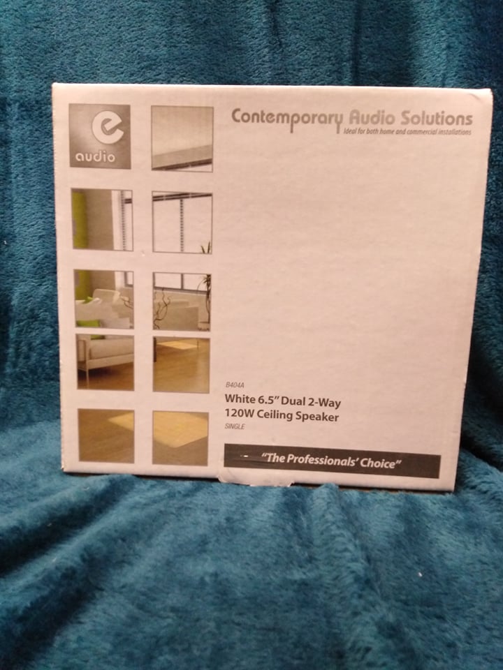 e-audio Ceiling Speaker with Dual Offset Tweeters