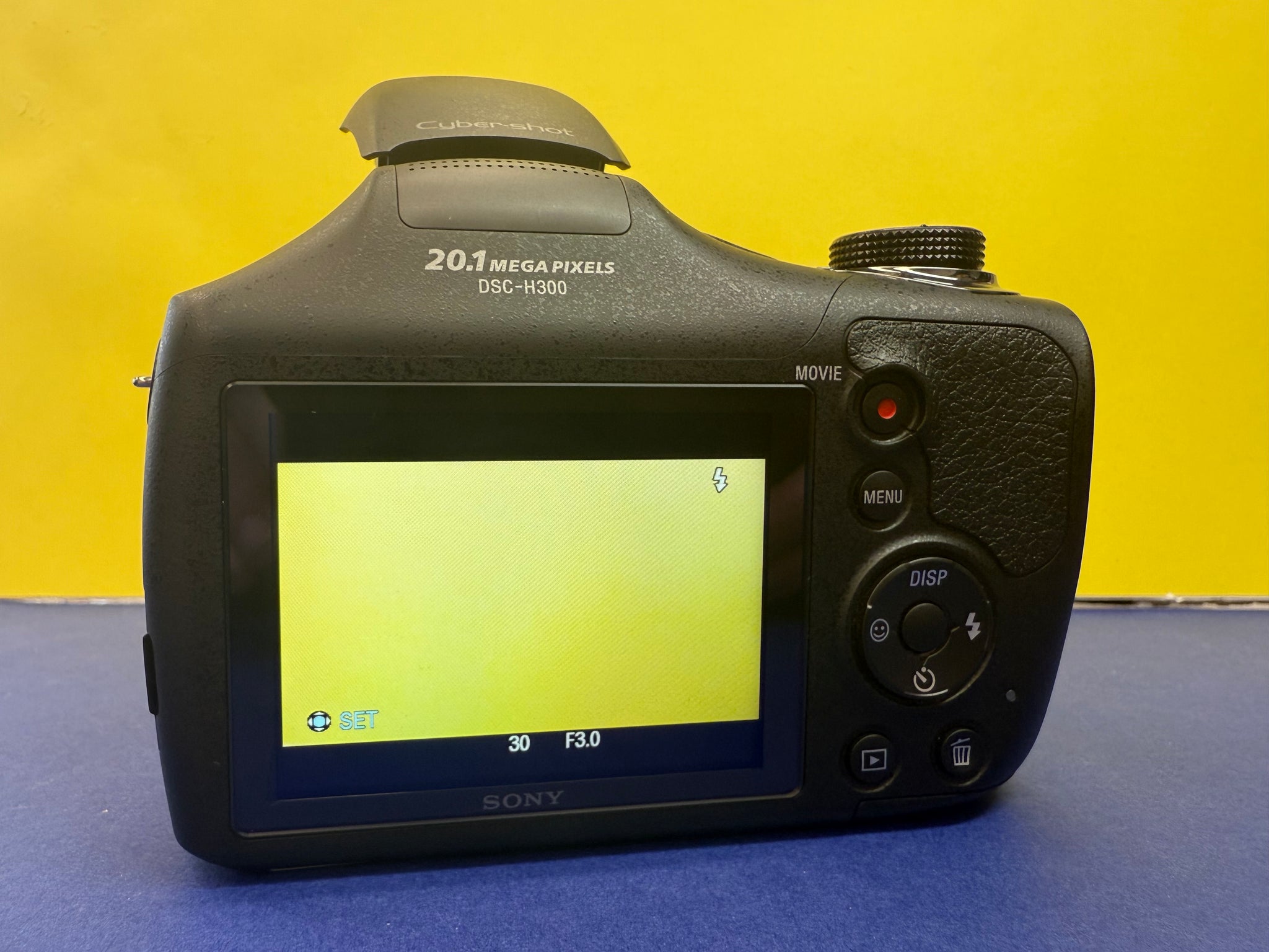 Sony Cyber Shot DSC-H300 20.1MP Digital Bridge Camera