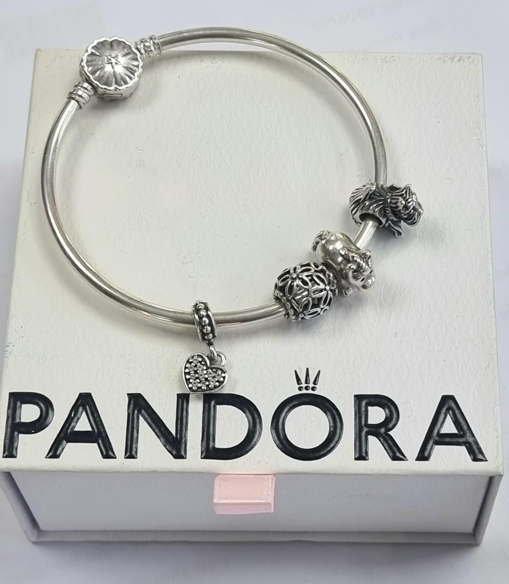 Pandora Bangle with 4 charms