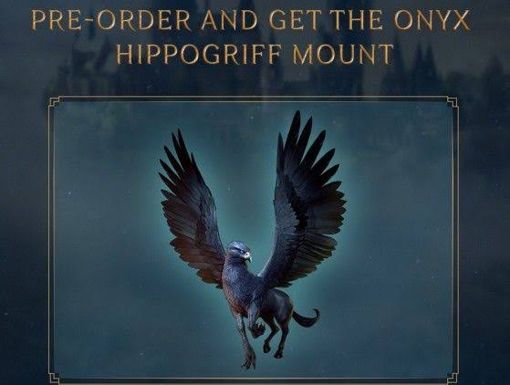 Hogwarts Legacy - Nintendo Switch