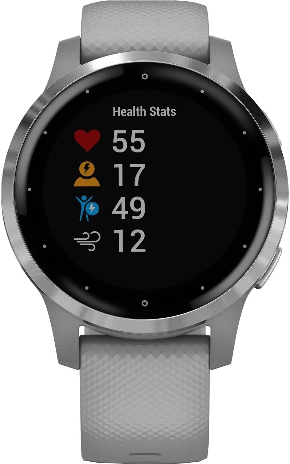 Garmin Vivoactive 4S Powder Gray/Silver