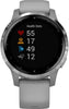 Garmin Vivoactive 4S Powder Gray/Silver