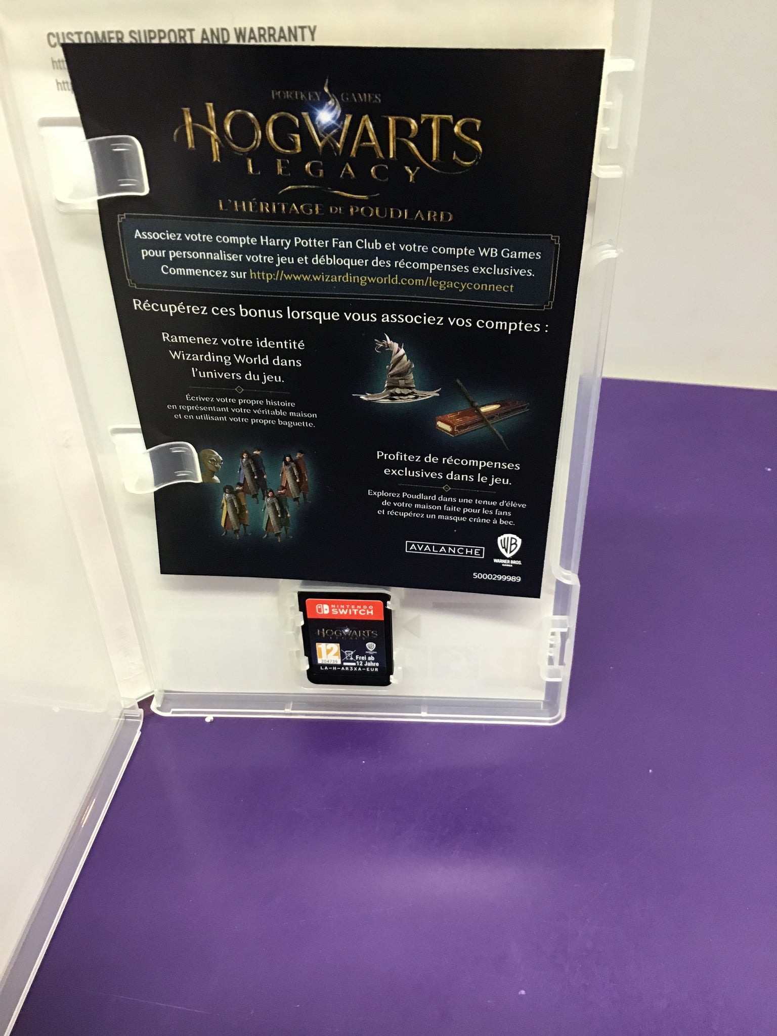 Hogwarts Legacy (Switch)