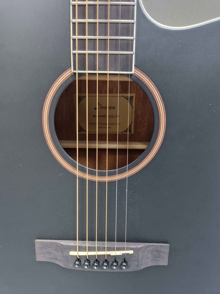 Donner dag- 1cb 6 string 20 fret guitar with carry bag