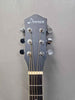 Donner dag- 1cb 6 string 20 fret guitar with carry bag