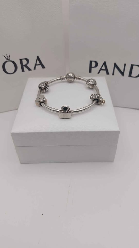 Pandora Bangle plus 5 Charms Boxed 925 25.4g