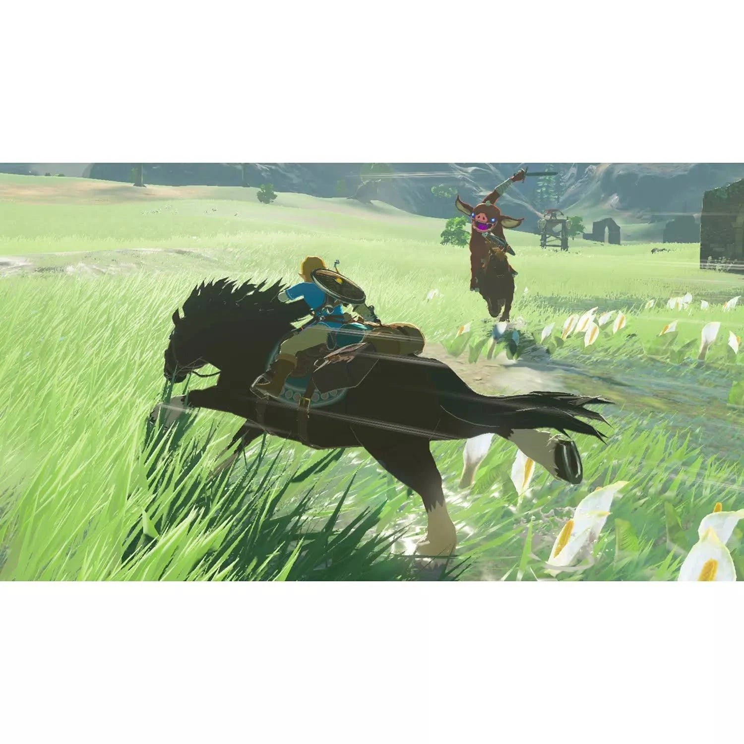 The Legend of Zelda: The Breath of The Wild (Nintendo Switch)