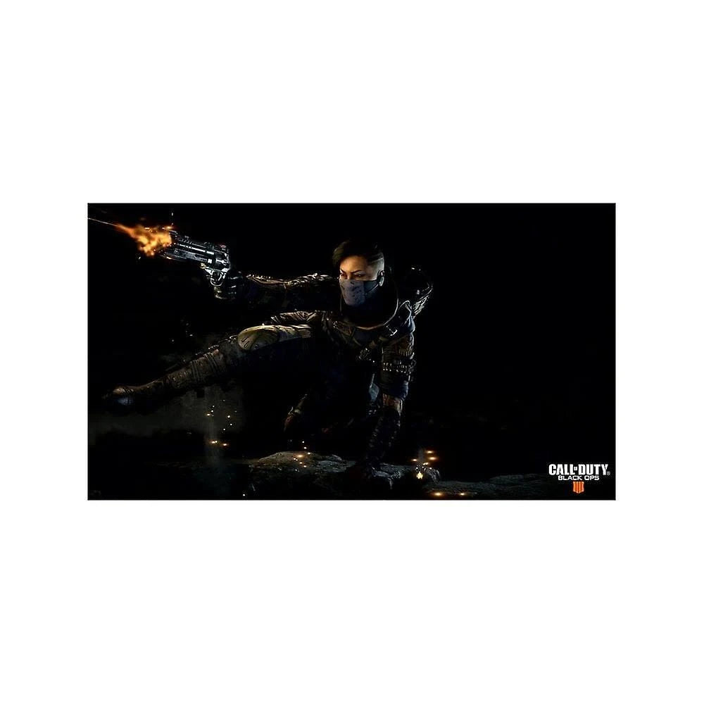 Call of Duty Black Ops 4 (PS4)