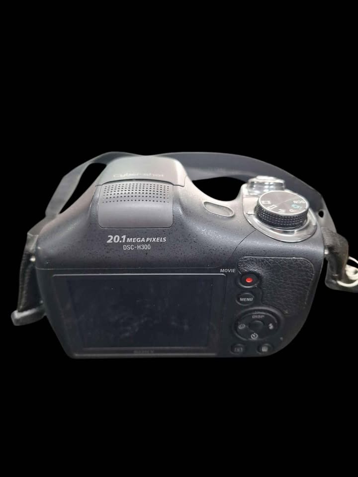 DX Sony Cyber-shot DSC-H300 20MP,
