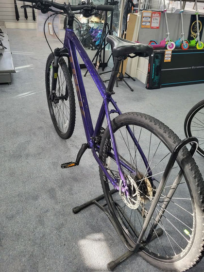 Trek Dual Sport 2 Mountain Bike - 17