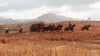 PS4 Red Dead Redemption 2
