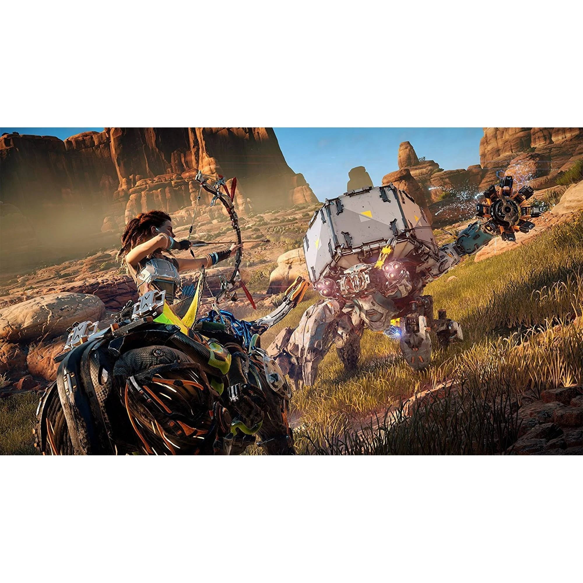 Horizon - Zero Dawn - Complete Edition Playstation Hits - PS4