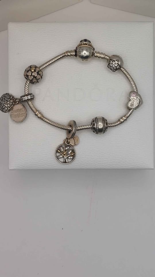 Pandora Bracelet plus 6 Charms 925 boxed