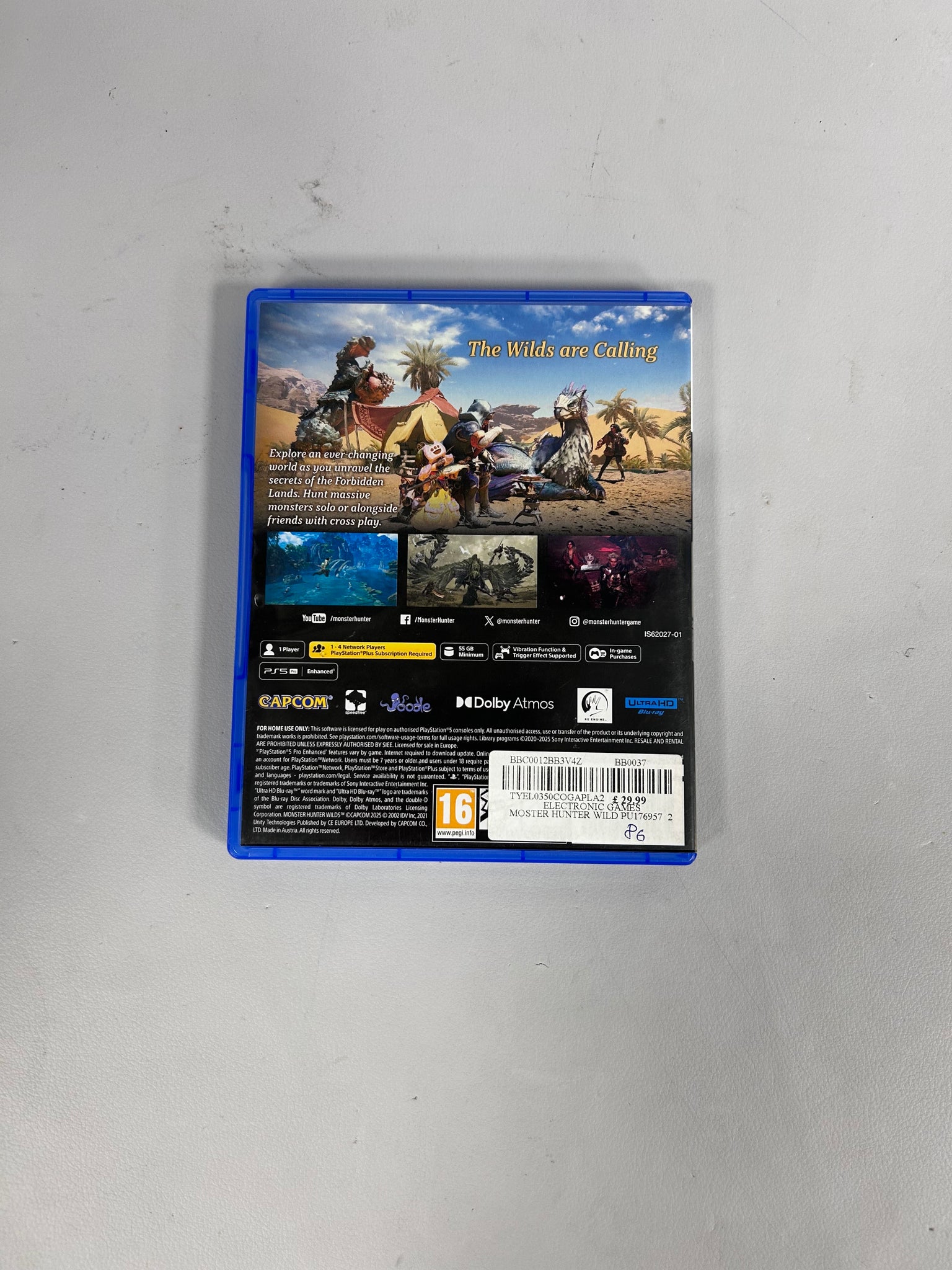 Monster Hunter Wilds Playstation 5