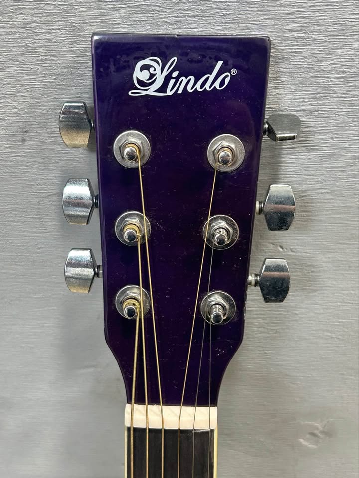Lindo Acoustic 6-String Purple Guitar - LDSD1018