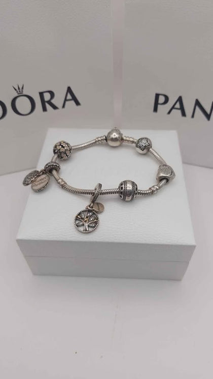Pandora Bracelet plus 6 Charms 925 boxed