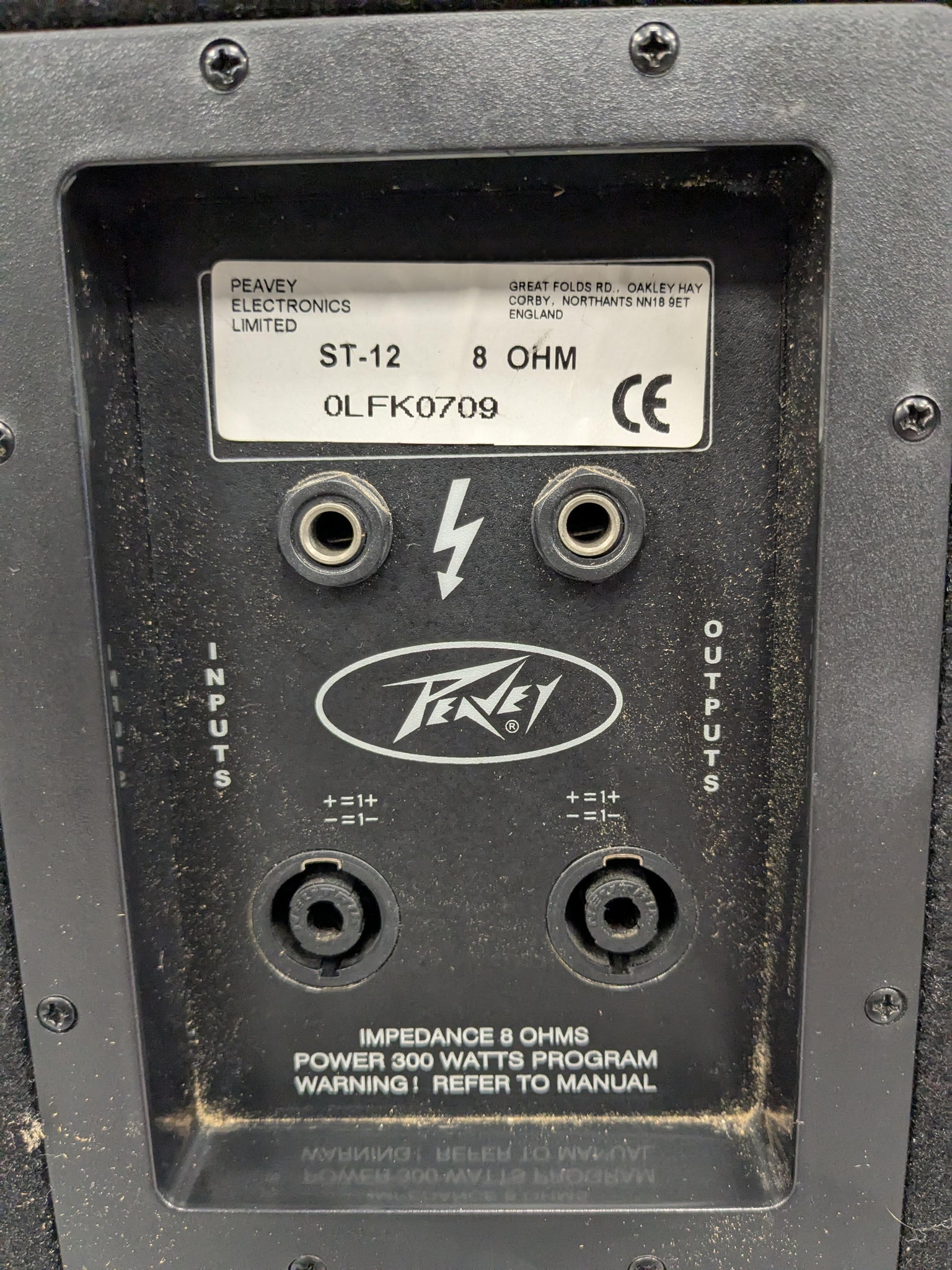 Peavey ST-12 8ohm 250w Passive Speaker