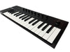 Native Instruments Komplete Kontrol M32 Keyboard