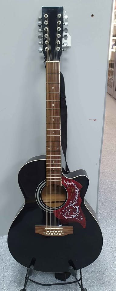 Alba SGD545 12 String Electro-Acoustic Guitar Black With White Trim