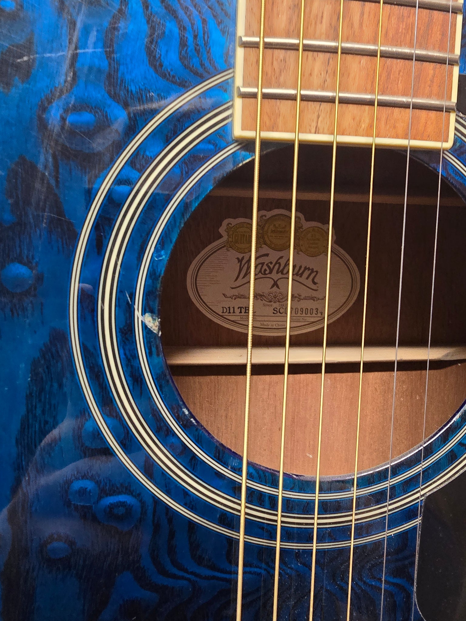 Washburn Acoustic