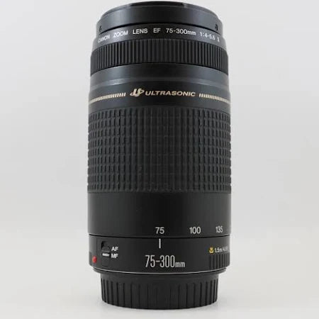 Canon EF 75-300mm F4-5.6 Lens