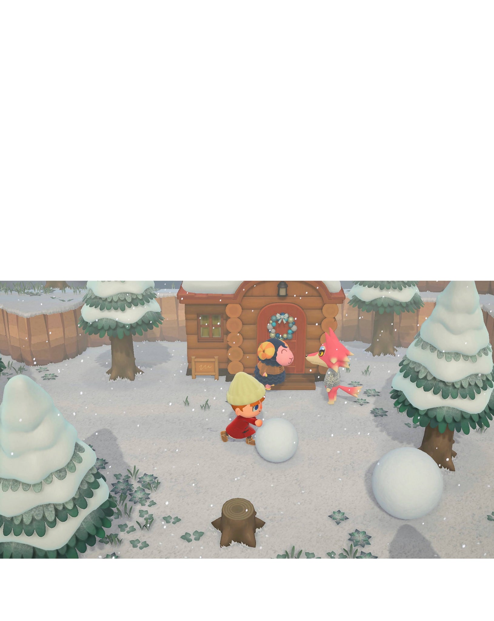 *Collection Only* Animal Crossing New Horizons Nintendo Switch