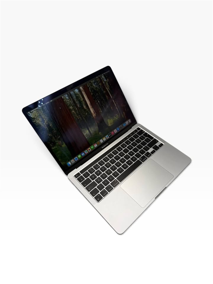 Apple MacBook Pro 17,1, M1 Chip, 8GB RAM, 256GB SSD, 13”, SG/ 97