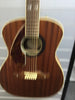 Fender Tim Armstrong Hellcat-12 String electro acoustic guitar