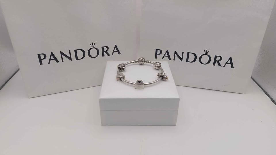 Pandora Bangle plus 5 Charms Boxed 925 25.4g