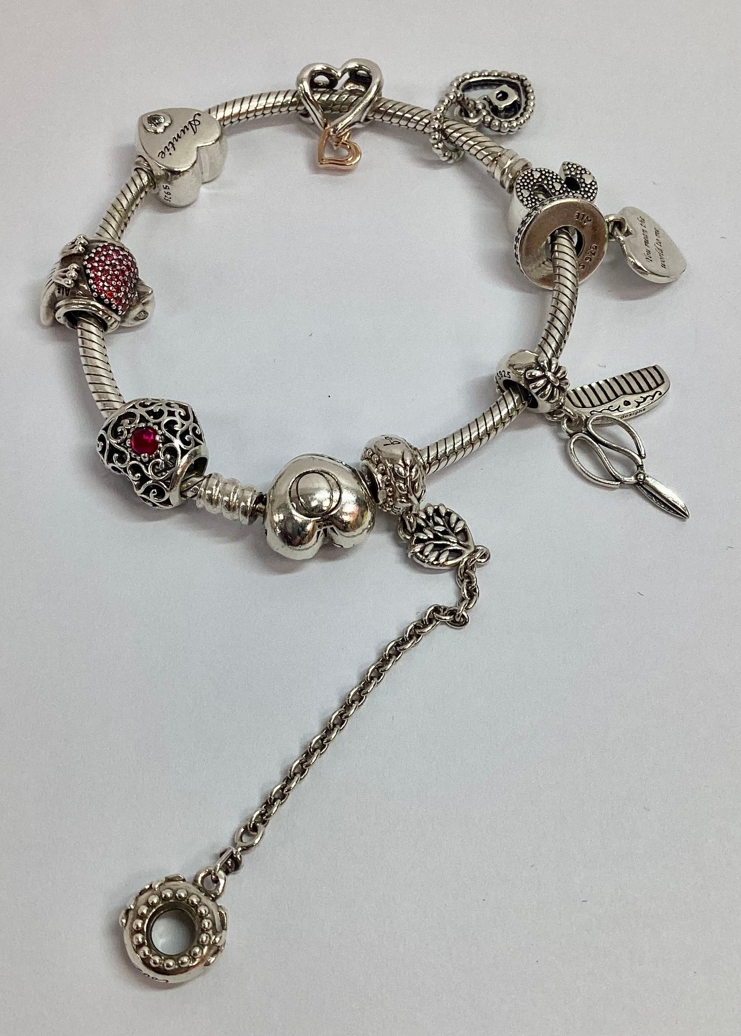 Pandora Bracelet & Charms