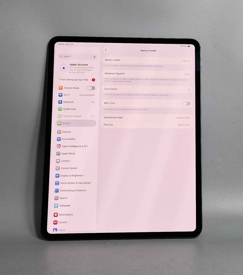 Apple Ipad Pro 13