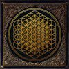 Bring Me The Horizon: Sempiternal CD