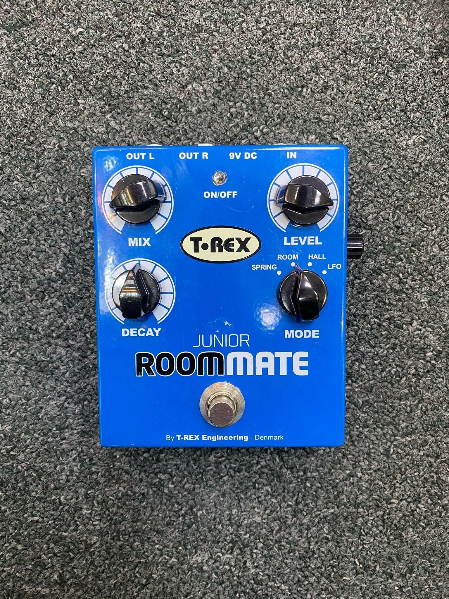 T-Rex Junior Roommate
