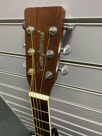 Tanglewood TW15NS.
