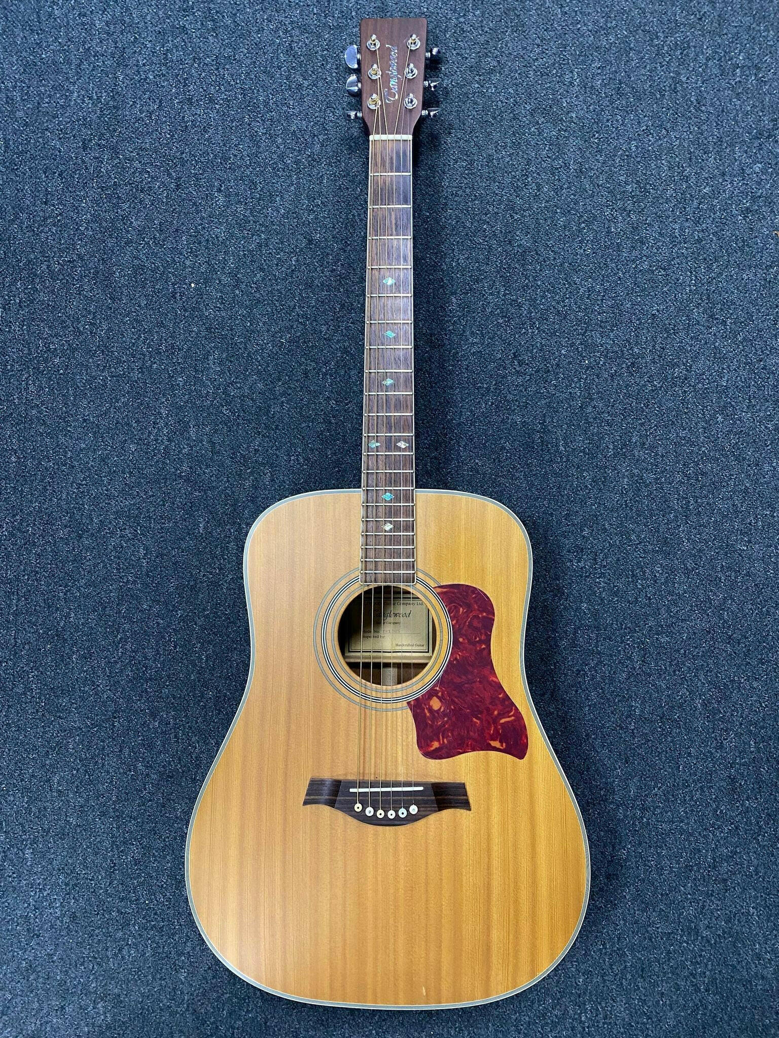 Tanglewood TW15NS