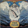 Steve Hillage Fish Rising