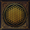 Bring Me The Horizon: Sempiternal CD