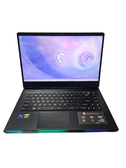 MSI GE66 Raider 15.6